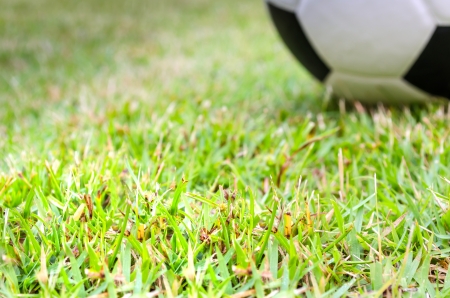 turf view below footballの写真素材