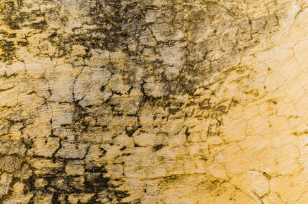 The Background from high detailed fragment stone white wallの写真素材