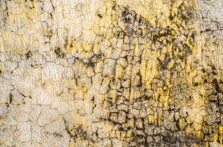 The Background from high detailed fragment stone white wallの写真素材