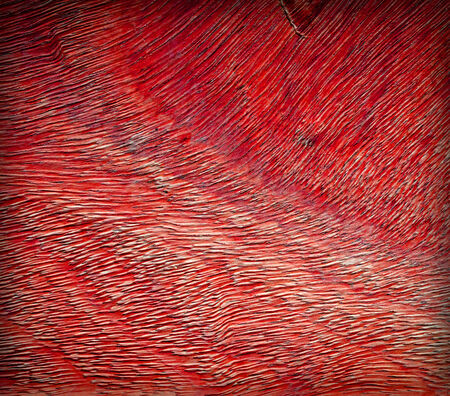 red wood backgroundの写真素材