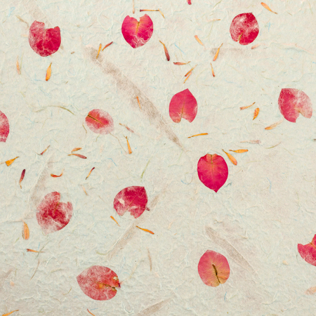 Paper from natural fibersの写真素材