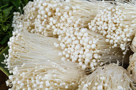 Enoki mushrooms