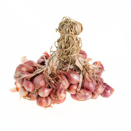 Shallot - asia red onion on white backgroundの写真素材
