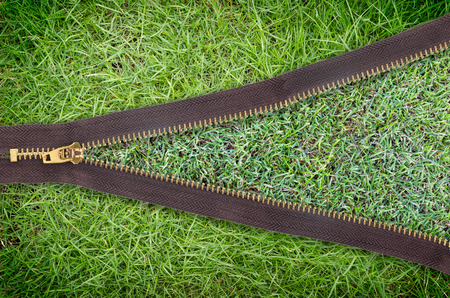 green grass texture concepts zippers Changeの写真素材