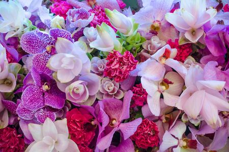 The background image of the colorful flowersの写真素材