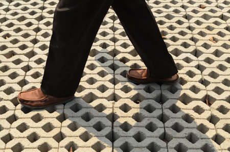 The brick walkway.の写真素材