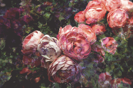 colorful retro flower for printing textile pattern with floral ornament useful as backgroundの写真素材