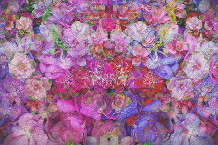 colorful retro flower for printing textile pattern with floral ornament useful as backgroundの写真素材