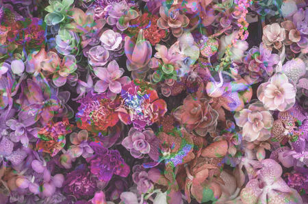 colorful retro flower for printing textile pattern with floral ornament useful as backgroundの写真素材