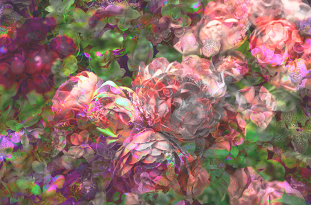 colorful retro flower for printing textile pattern with floral ornament useful as backgroundの写真素材