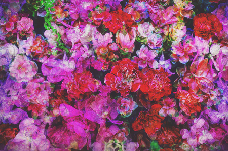 colorful retro flower for printing textile pattern with floral ornament useful as backgroundの写真素材