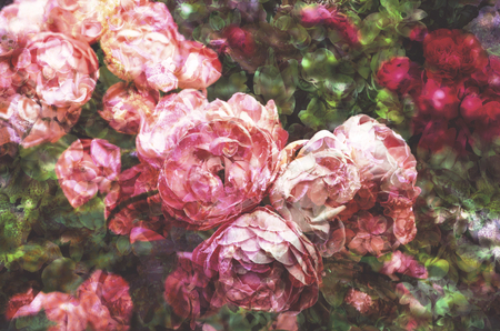 colorful retro flower for printing textile pattern with floral ornament useful as backgroundの写真素材