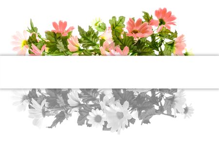 beautiful flowers with space for your textの写真素材