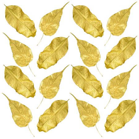 pattern golden leaves for backgroundの写真素材