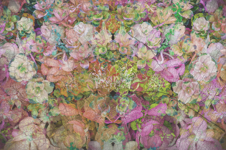 colorful retro flower for printing textile pattern with floral ornament useful as backgroundの写真素材