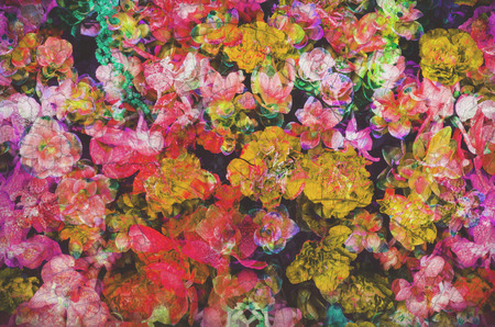 colorful retro flower for printing textile pattern with floral ornament useful as backgroundの写真素材