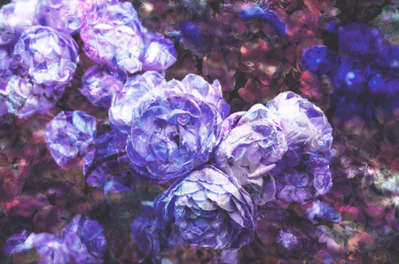 colorful retro flower for printing textile pattern with floral ornament useful as backgroundの写真素材