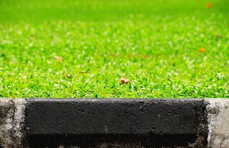 The Footpath with The Grassの写真素材