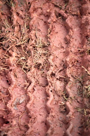 wheel trace on mud back ground is born it rains