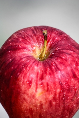 red fruit fruit is valuable the complexionの写真素材