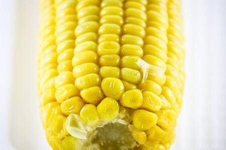 Fresh raw corn cob isolated on the whiteの写真素材