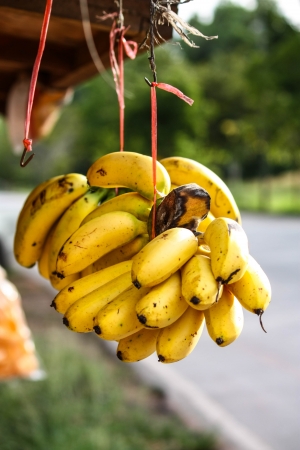 Bunches of ripe bananas in grocery shopの写真素材