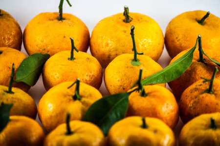 ripe orange with leaves on white backgroundの写真素材