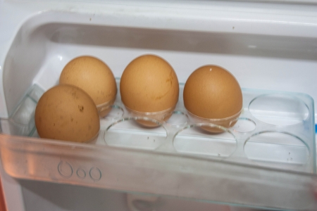 an egg is the food that has to stick in a refrigerator
