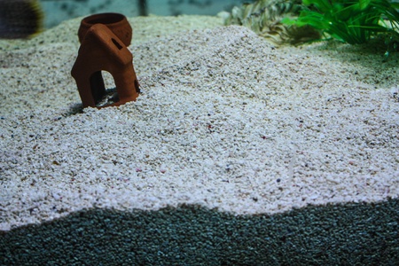 Colorful aquarium, showing different colorful fishes swimmingの写真素材