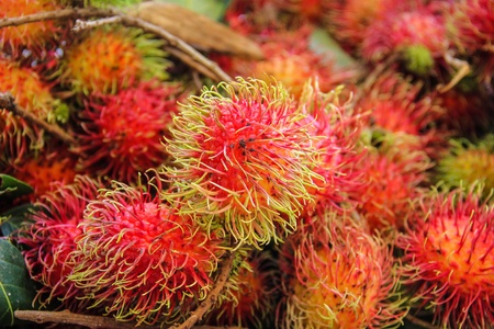 Closeup of tropical rambutan fruits at the marketの写真素材