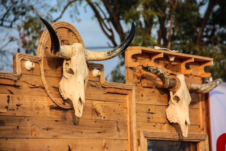 Skull of a steer warns trespassers of their likely fateの写真素材