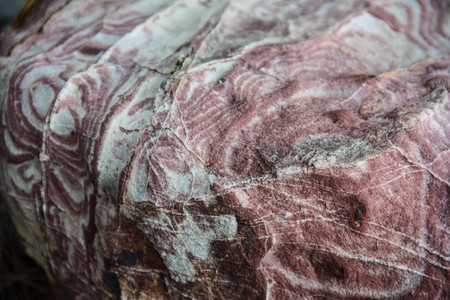 A close up of texture on natural slateの写真素材