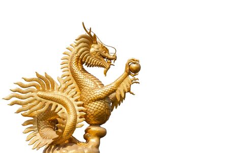 Golden dragon on a white background left blank spaceの写真素材