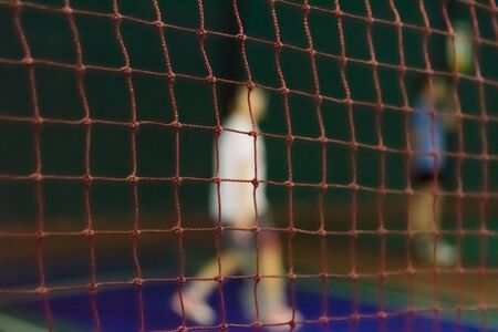 Badminton court Badminton tournament Net lightの写真素材