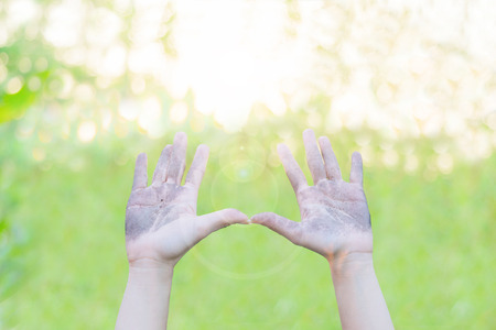 Ecology concept Human hands holding big plant with on blurred sunset background,World Environment Dayの写真素材