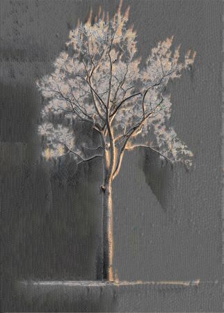 tree nature on white background of Isolatedの写真素材