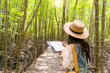 Lady travel Ecotourism Write down the information notebook in the wood Golden Meadow Prong thailand, Ecology concept Human hands holding big plant tree with on blurred sunset backgroundの写真素材