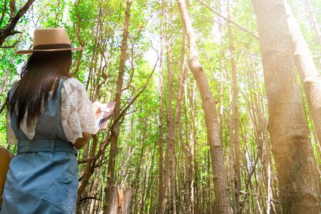 Lady travel Ecotourism Write down the information notebook in the wood Golden Meadow Prong thailand, Ecology concept Human hands holding big plant tree with on blurred sunset backgroundの写真素材