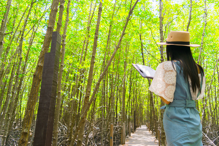 Lady travel Ecotourism Write down the information notebook in the wood Golden Meadow Prong thailand, Ecology concept Human hands holding big plant tree with on blurred sunset backgroundの写真素材