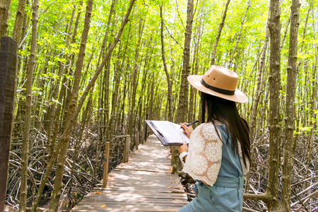 Lady travel Ecotourism Write down the information notebook in the wood Golden Meadow Prong thailand, Ecology concept Human hands holding big plant tree with on blurred sunset backgroundの写真素材