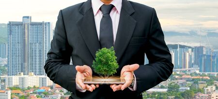 Ecology concept human hands holding big plant tree with on world environment dayの写真素材