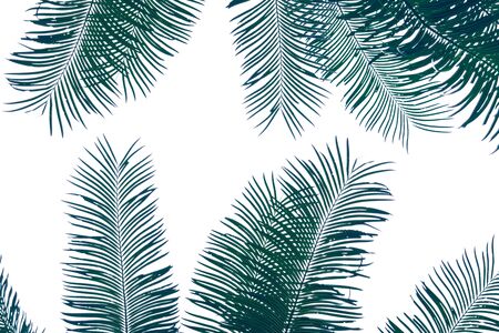 Natural leaves green leaf pattern on the surfaceの写真素材