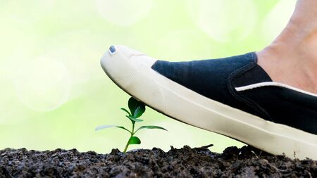 Ecology concept foot tree destructive nature and destroy environment