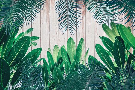 Vintage leaves on a wooden backgroundの写真素材