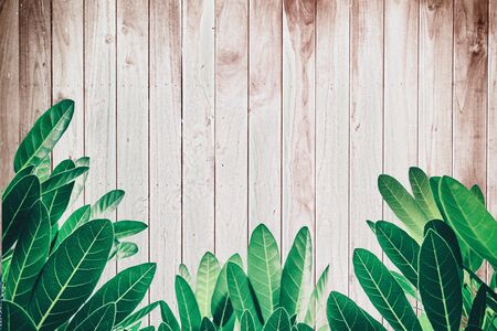 Vintage leaves on a wooden background