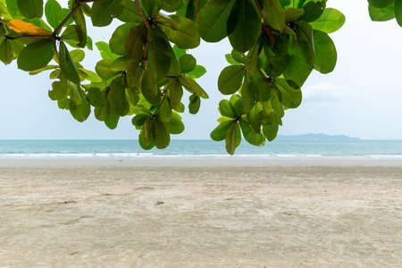 Sea and beach in summer with a holiday.の写真素材