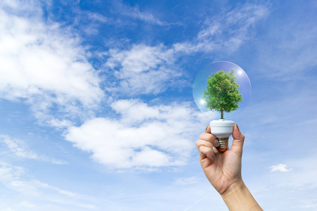 Ecology concept human hands holding big plant tree in light bulb with world environmentの写真素材