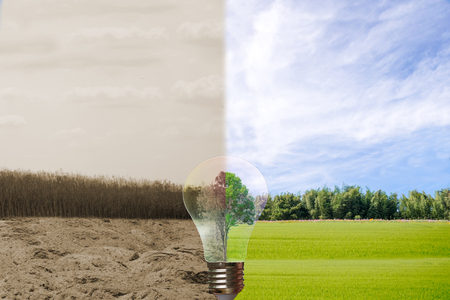 recyclable environment human hands holding big plant tree in light bulb withの写真素材