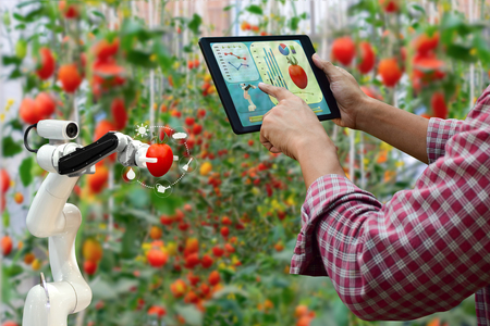 Farmer holding a tablet smart arm robot harvest work agricultural machinery technologyの写真素材