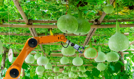 smart robotic farmers in agriculture futuristic robot automation to work of harvesting or increase efficiencyの写真素材